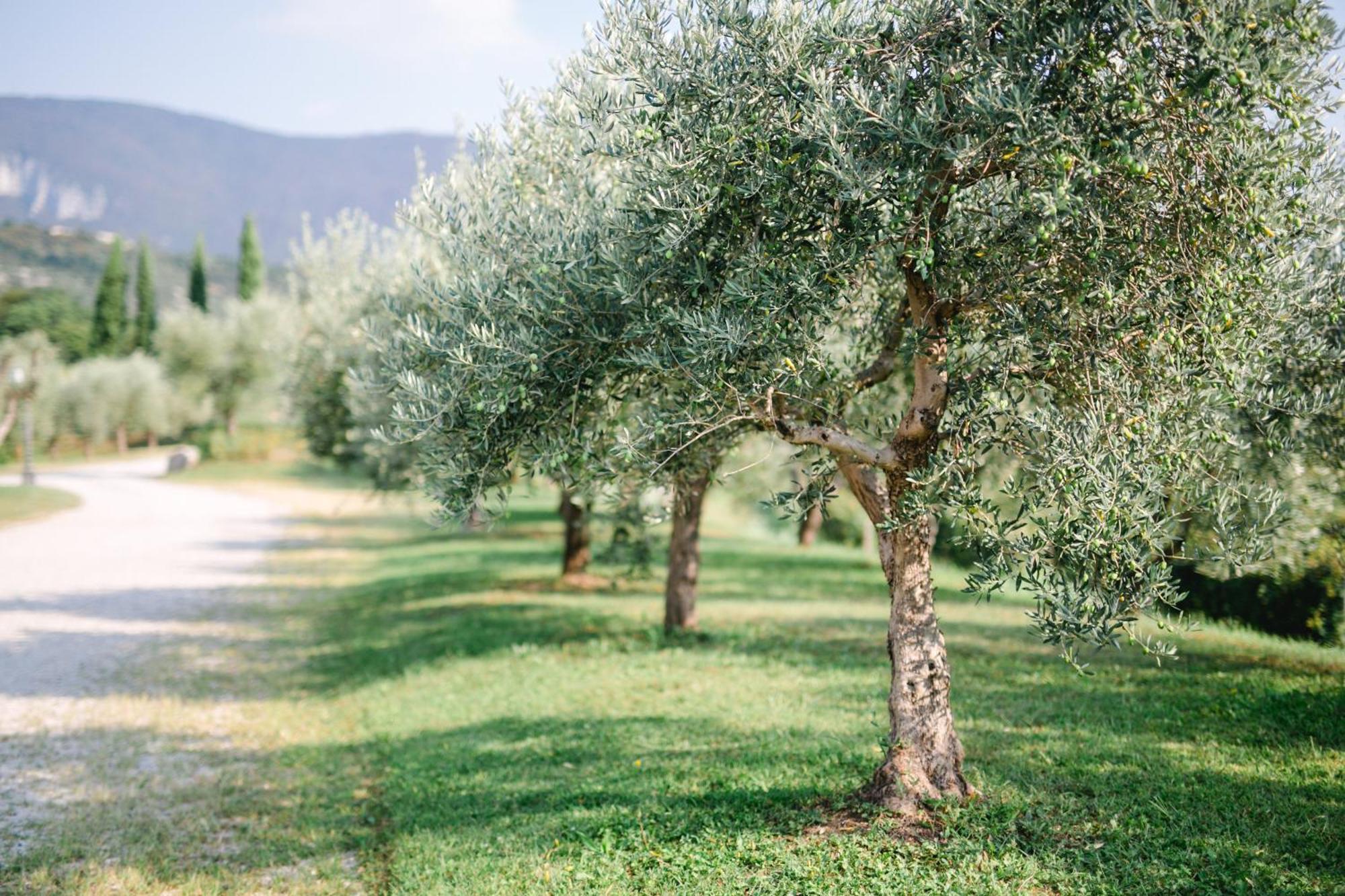 Tenuta La Presa Caprino Veronese Exterior foto