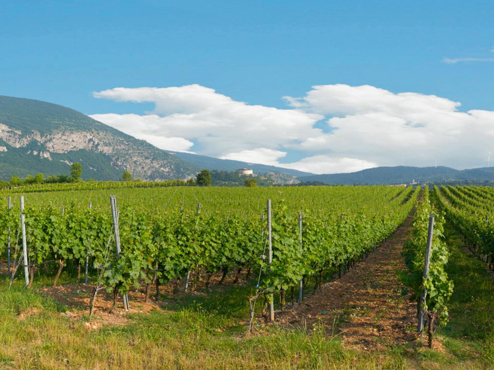 Tenuta La Presa Caprino Veronese Exterior foto